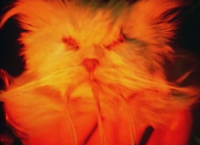 我恶魔之兄的祈愿剧照的剧照