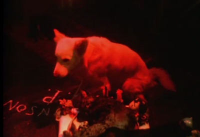 我恶魔之兄的祈愿剧照的剧照