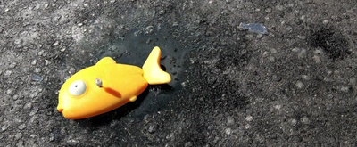 兰戈剧照的剧照