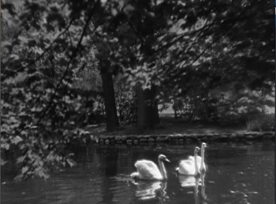 欢呼剧照的剧照