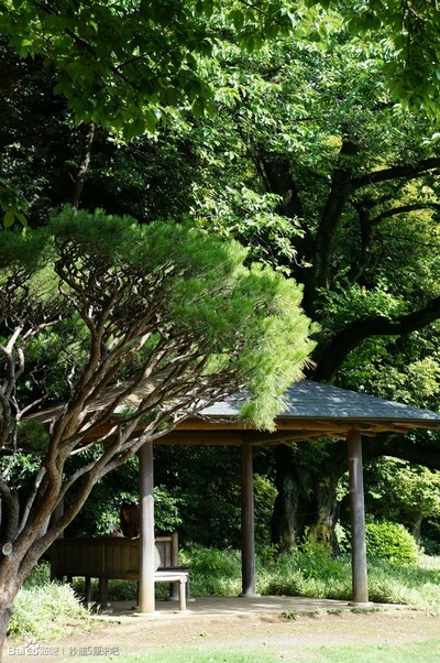 言叶之庭剧照的剧照