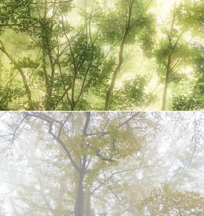 言叶之庭剧照的剧照