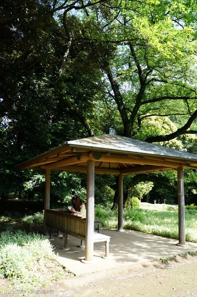 言叶之庭剧照的剧照