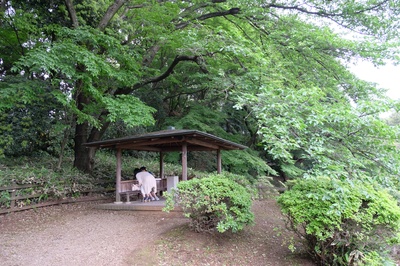 言叶之庭剧照的剧照