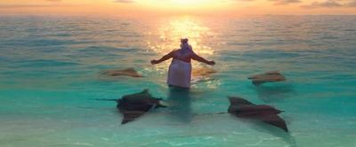 海洋奇缘剧照的剧照