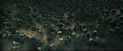 我的战争剧照的剧照