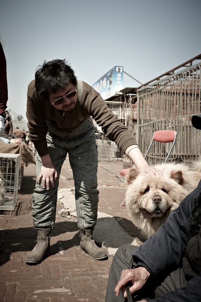 黄海剧照的剧照