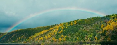 心花路放剧照的剧照