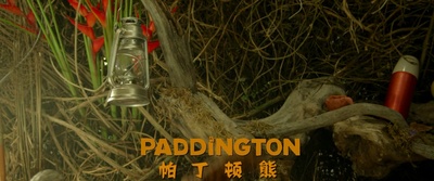 帕丁顿熊剧照的剧照