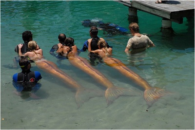 加勒比海盗4：惊涛怪浪剧照的剧照