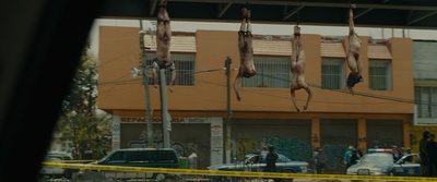 边境杀手剧照的剧照