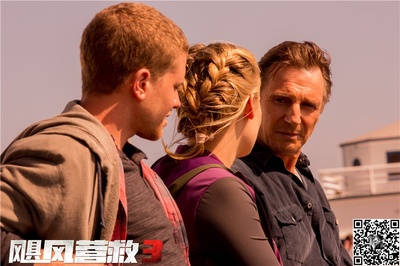 飓风营救3剧照的剧照