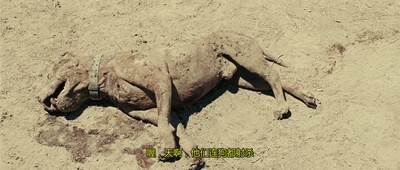 老无所依剧照的剧照