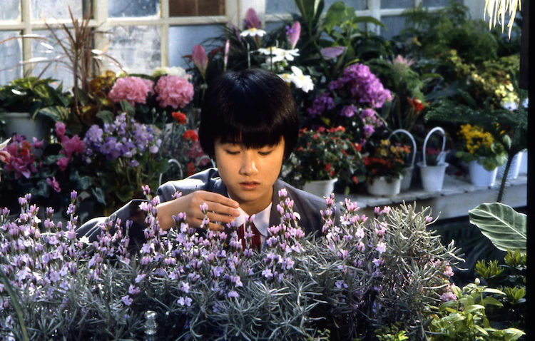 時をかける少女 角川映画 THE BEST Blu-ray剧照的剧照