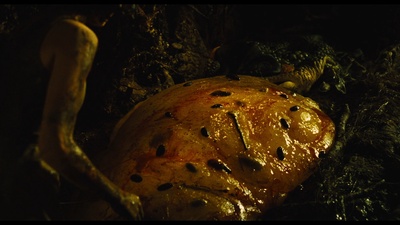 潘神的迷宫剧照的剧照