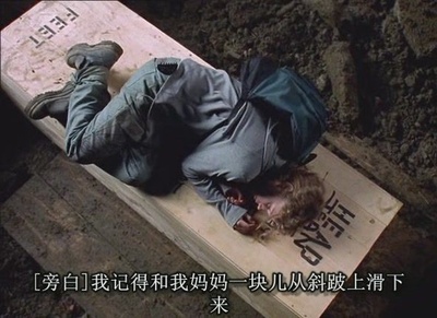 风雨哈佛路剧照的剧照