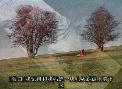 风雨哈佛路剧照的剧照