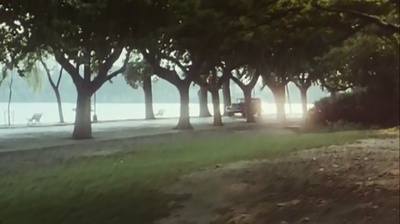 自梳剧照的剧照