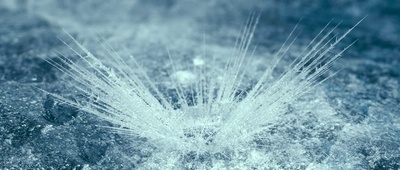 钟馗伏魔：雪妖魔灵剧照的剧照