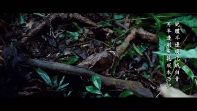 赛德克·巴莱(下)：彩虹桥剧照的剧照