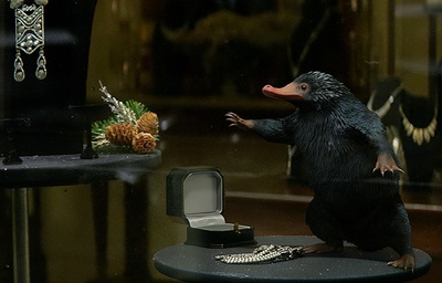 神奇动物在哪里剧照的剧照