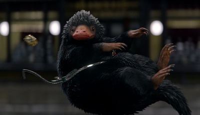 神奇动物在哪里剧照的剧照