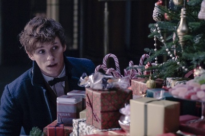 神奇动物在哪里剧照的剧照