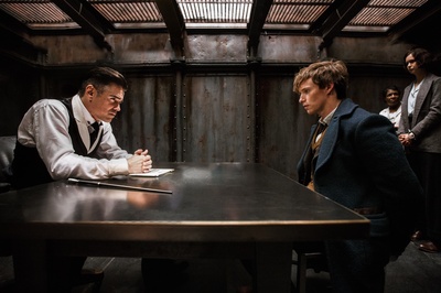 神奇动物在哪里剧照的剧照