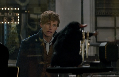 神奇动物在哪里剧照的剧照