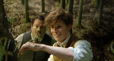 神奇动物在哪里剧照的剧照