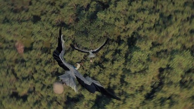 蓝精灵剧照的剧照