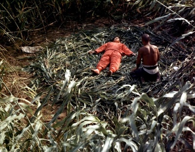 红高粱剧照的剧照