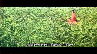 红高粱剧照的剧照