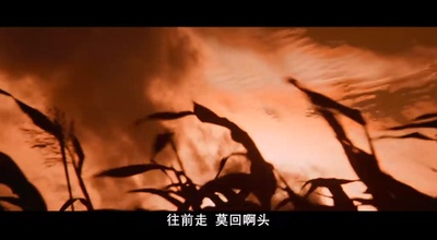 红高粱剧照的剧照