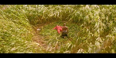 红高粱剧照的剧照