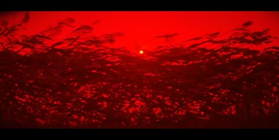 红高粱剧照的剧照