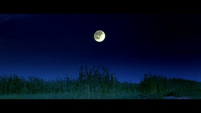 红高粱剧照的剧照