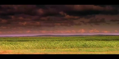 红高粱剧照的剧照