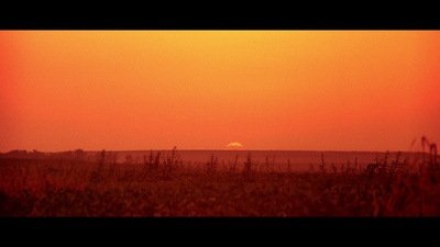 红高粱剧照的剧照