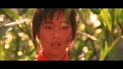 红高粱剧照的剧照