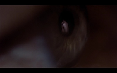 蓝白红三部曲之蓝剧照的剧照