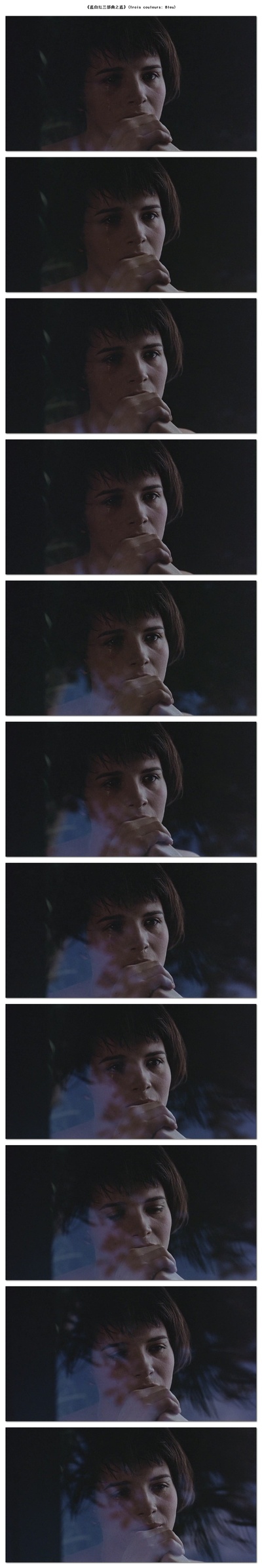 蓝白红三部曲之蓝剧照的剧照