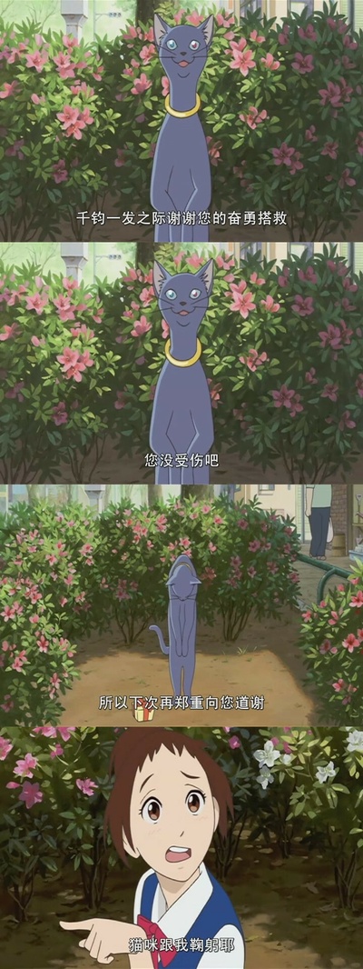猫的报恩剧照的剧照
