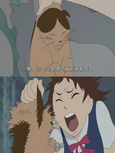 猫的报恩剧照的剧照