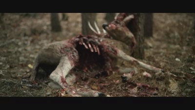 荒野剧照的剧照