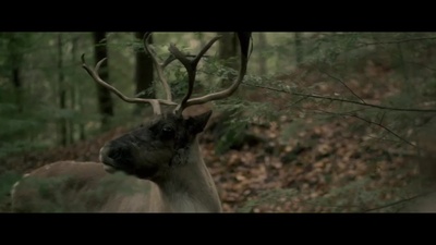 荒野剧照的剧照