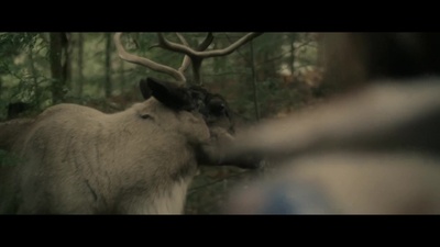 荒野剧照的剧照