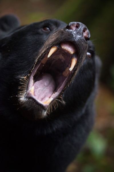 荒野剧照的剧照