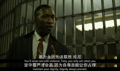 绿皮书剧照的剧照