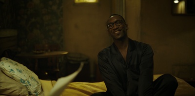 绿皮书剧照的剧照